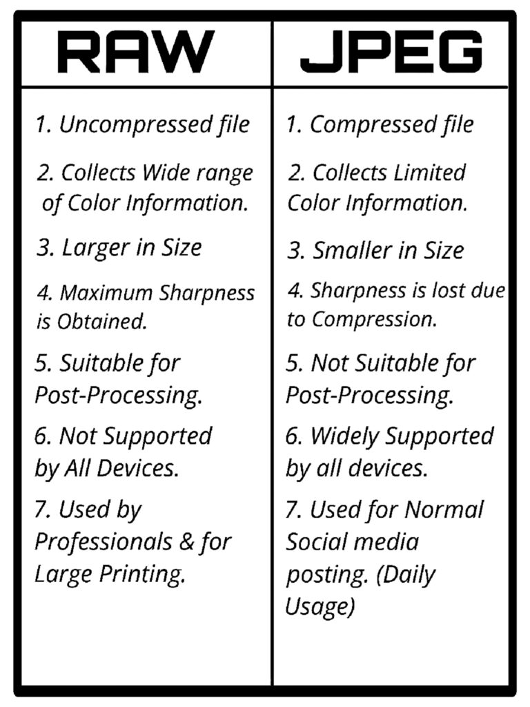 Raw vs Jpeg Tabular Format