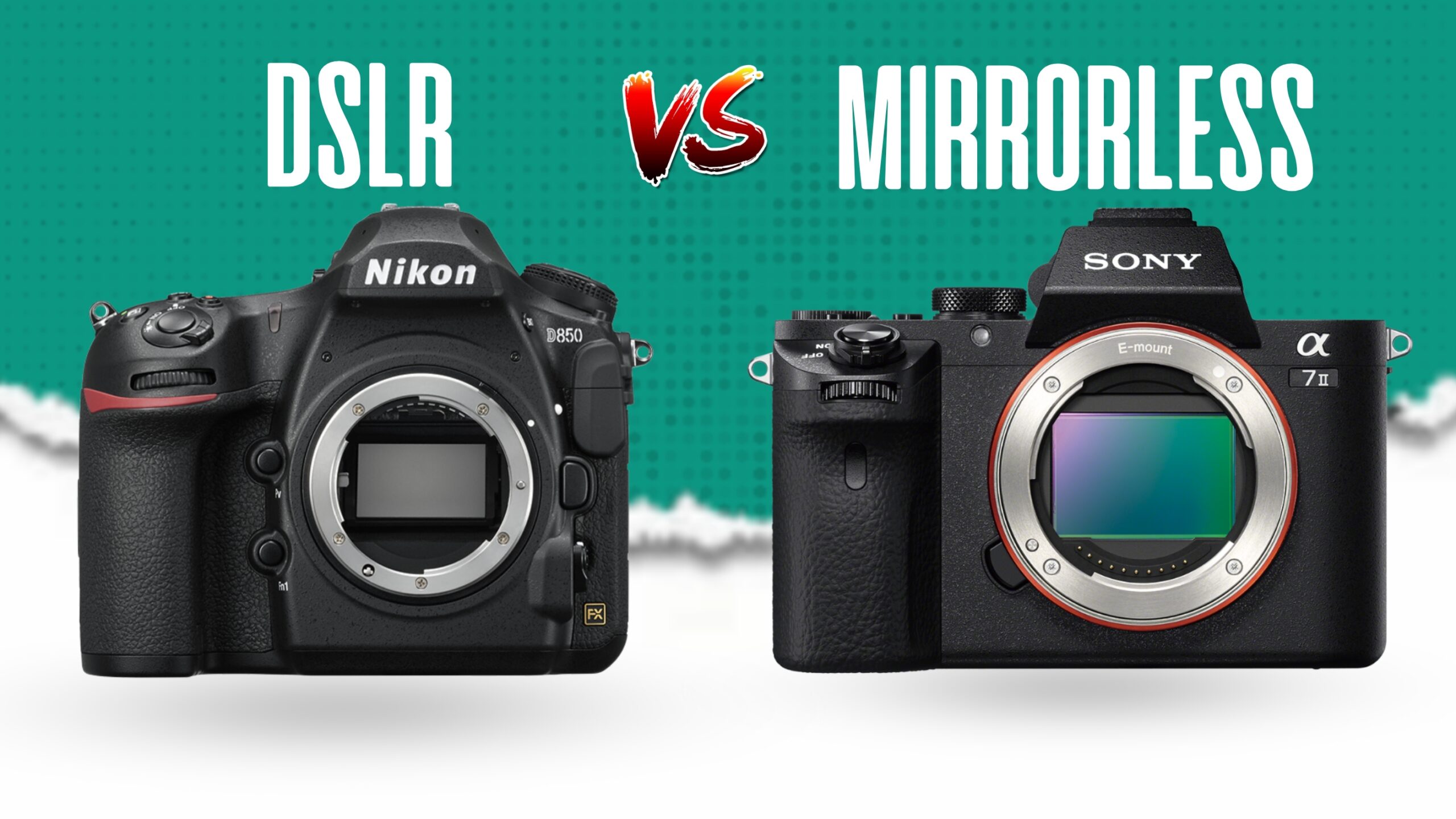 Difference between Mirror and Mirrorless Cameras